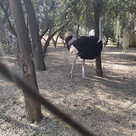 Backpackers Karma Home Stay Khajuraho Exterior photo