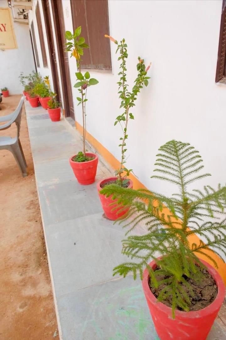 Backpackers Karma Home Stay Khajuraho Exterior photo